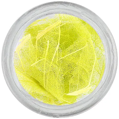 Svetlozelené sušené lístky